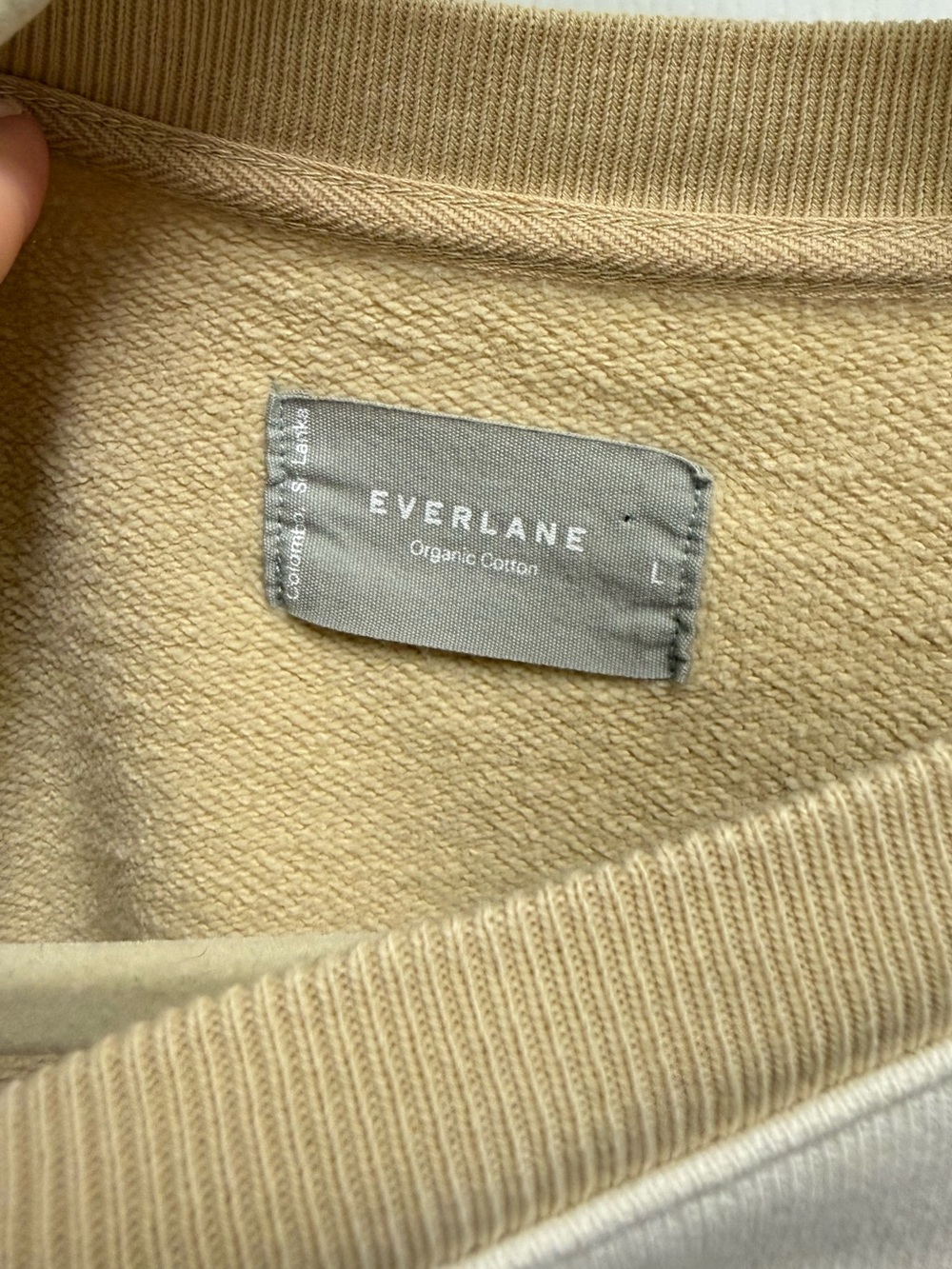 Everlane Two Tone Organic Cotton Sweatshirt - Picture 6 of 10